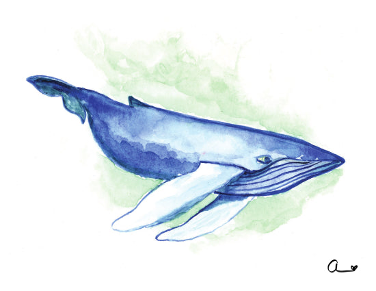 Blue Whale