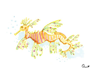 Leafy Seadragon